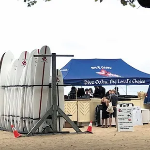 Daily Beach Surf boar rentals