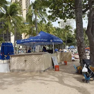 Daily Beach Surf boar rentals