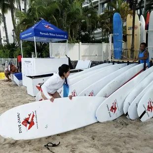 Daily Beach Surf boar rentals