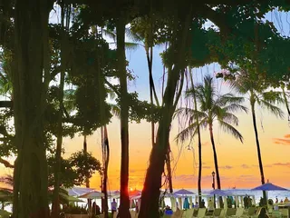 Aloha Beach Services