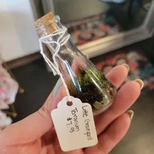 SpoOoOoOoky terrarium from a local artist.