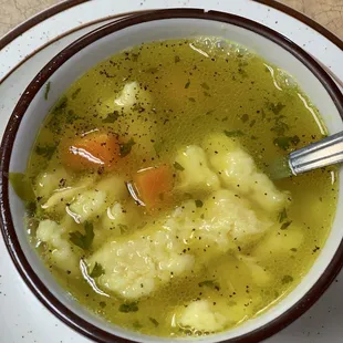 Chicken Dumpling Soup