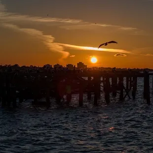 Sunsetting over Lake Pontchartrain..