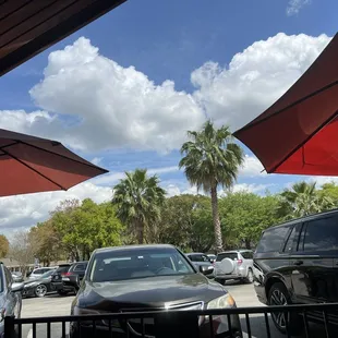 Just enjoying the beautiful Central FL day!