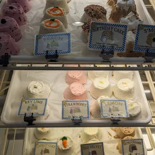 a variety of cupcakes in a display case