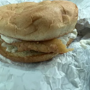 Catfish Fillet