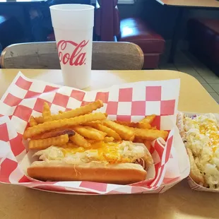 Wisconsin Dog