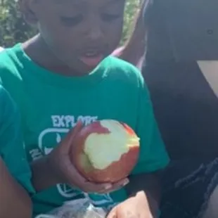 Great summer experiences