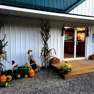  display of corn stalks and pumpkins