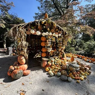 House made of pumpkins