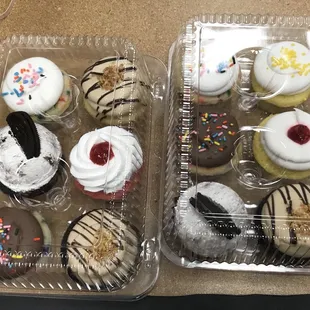 two trays of cupcakes