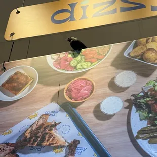 An actual bird flying around the open kitchen inside lol