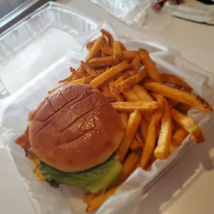 Dizzy Burger w/ fries