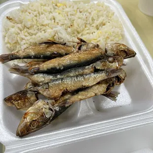 Tuyo salted dried fish 75 cents each . Garlic rice