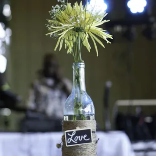 Kualoa Ranch, July 9, 2016 @ Paliku garden