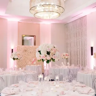 DJ MOJOE's Light Pink Uplights 1