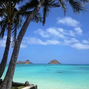 Beautiful setting