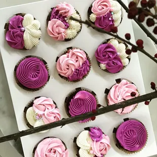 Chocolate cupcakes with cream cheese frosting