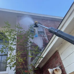 All our chemicals are plant and pet friendly EPA