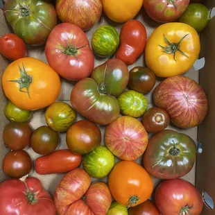 Fresh organic heirlooms for the seasonal tomato salad.