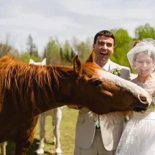 Bride and Groom with a hungry horse!