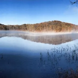 Yellowwood State Forest
