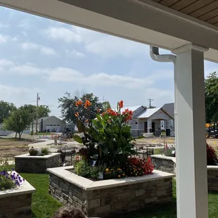 Taken from table on back patio