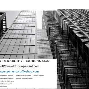 DoItYourselfExpungement.com