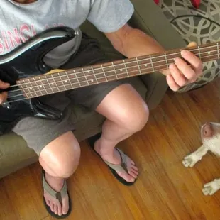 Solid Bass for a great price. And a furry pal...