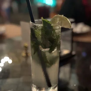 Fantastic Mojito