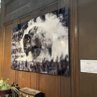 Bison image printed in Bk &amp; Wt on metal
