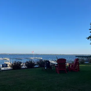 The view