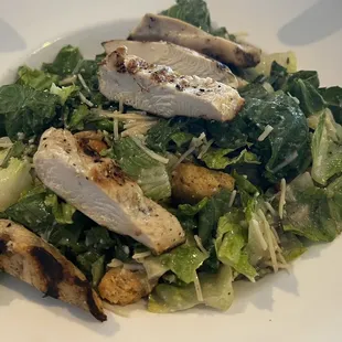 salads, salad, food