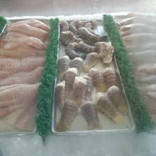 a variety of fish