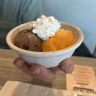 Vegan Mango Ice and Regular Chocolate Ice Cream