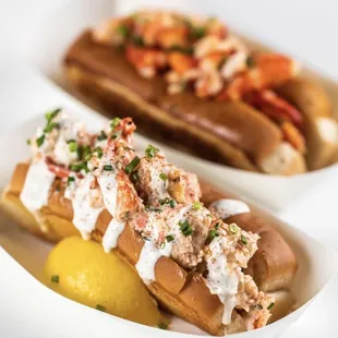 two lobster hot dogs