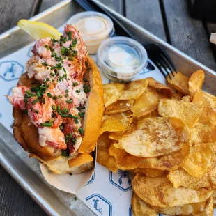 Maine Lobster Roll and Chips