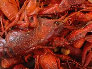 New Orleans Crab Shack