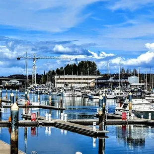 boats docked in a harbor