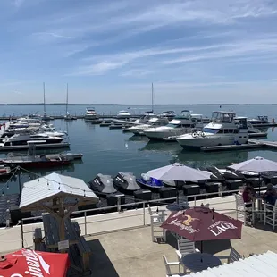 Dockers as seen from street level