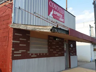 Coyotes