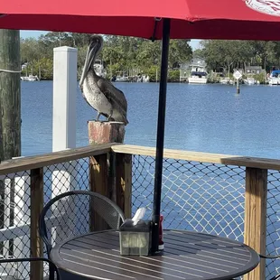Beautiful day on the waterfront.