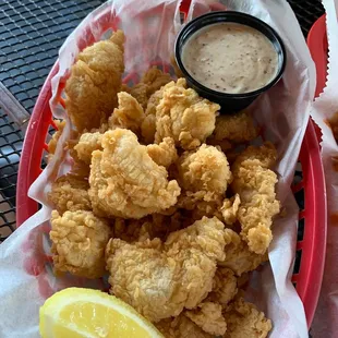 Grouper bites