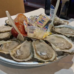 Oyster