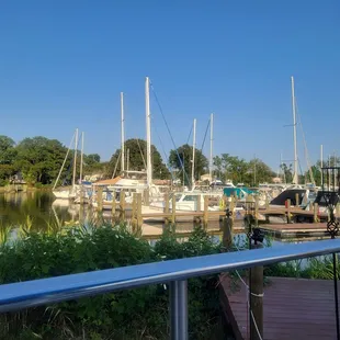 boats docked at a marina