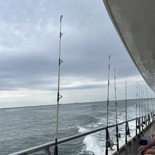 Va Chesapeake Bay