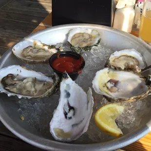 Lynnhaven Oysters