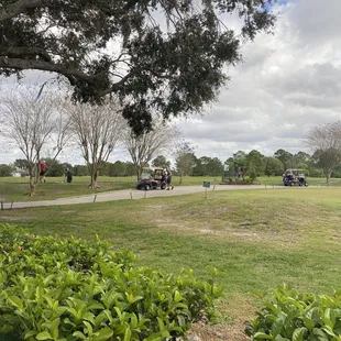 a view of a golf course