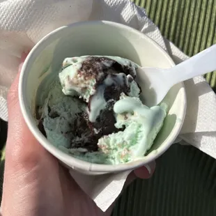 Kids mint chocolate chip