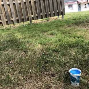 Blue Raspberry Slushie